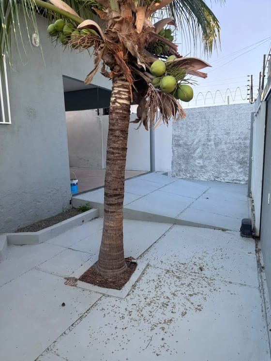 Casa à Venda 3 quartos sendo 1 suíte, com 317m² em Floriano Peixoto - PI — foto 2 (Floriano Peixoto)